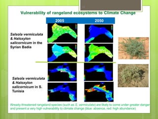 Opportunities and constraints in pastoral and agro-pastoral livestock systems: The ICARDA/ILRI experience