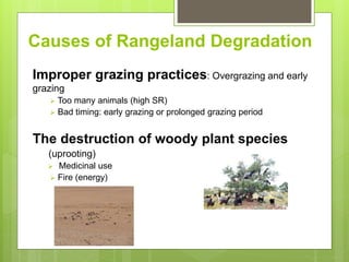 Opportunities and constraints in pastoral and agro-pastoral livestock systems: The ICARDA/ILRI experience