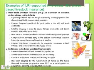 Opportunities and constraints in pastoral and agro-pastoral livestock systems: The ICARDA/ILRI experience