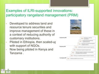 Opportunities and constraints in pastoral and agro-pastoral livestock systems: The ICARDA/ILRI experience