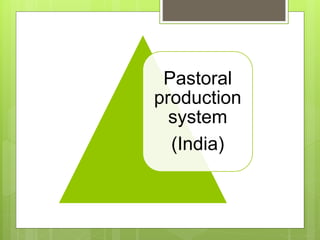 Opportunities and constraints in pastoral and agro-pastoral livestock systems: The ICARDA/ILRI experience