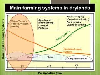 Opportunities and constraints in pastoral and agro-pastoral livestock systems: The ICARDA/ILRI experience