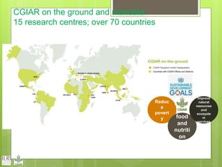 Opportunities and constraints in pastoral and agro-pastoral livestock systems: The ICARDA/ILRI experience