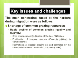 Opportunities and constraints in pastoral and agro-pastoral livestock systems: The ICARDA/ILRI experience