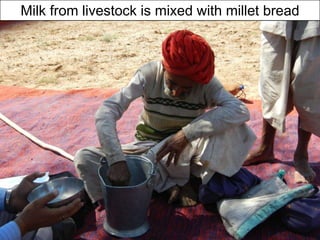 Opportunities and constraints in pastoral and agro-pastoral livestock systems: The ICARDA/ILRI experience