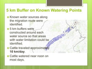 Opportunities and constraints in pastoral and agro-pastoral livestock systems: The ICARDA/ILRI experience