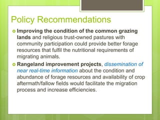 Opportunities and constraints in pastoral and agro-pastoral livestock systems: The ICARDA/ILRI experience