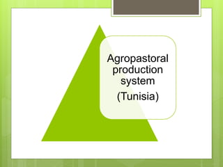 Opportunities and constraints in pastoral and agro-pastoral livestock systems: The ICARDA/ILRI experience