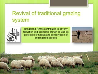 Opportunities and constraints in pastoral and agro-pastoral livestock systems: The ICARDA/ILRI experience