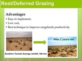 Opportunities and constraints in pastoral and agro-pastoral livestock systems: The ICARDA/ILRI experience