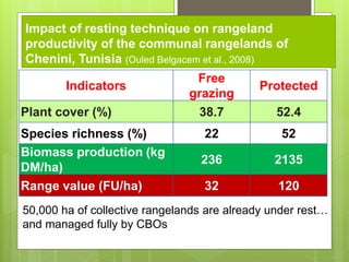 Opportunities and constraints in pastoral and agro-pastoral livestock systems: The ICARDA/ILRI experience