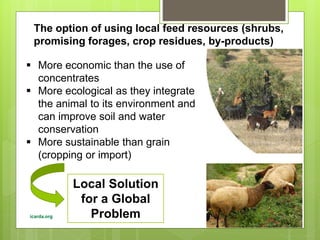 Opportunities and constraints in pastoral and agro-pastoral livestock systems: The ICARDA/ILRI experience