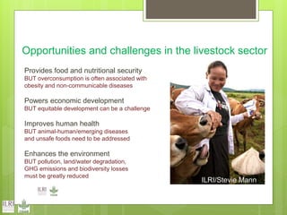 Opportunities and constraints in pastoral and agro-pastoral livestock systems: The ICARDA/ILRI experience
