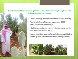 Opportunities and constraints in pastoral and agro-pastoral livestock systems: The ICARDA/ILRI experience