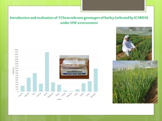 Opportunities and constraints in pastoral and agro-pastoral livestock systems: The ICARDA/ILRI experience
