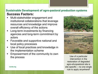 Opportunities and constraints in pastoral and agro-pastoral livestock systems: The ICARDA/ILRI experience