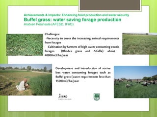 Opportunities and constraints in pastoral and agro-pastoral livestock systems: The ICARDA/ILRI experience