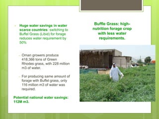 Opportunities and constraints in pastoral and agro-pastoral livestock systems: The ICARDA/ILRI experience