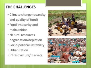 Opportunities and constraints in pastoral and agro-pastoral livestock systems: The ICARDA/ILRI experience