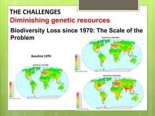 Opportunities and constraints in pastoral and agro-pastoral livestock systems: The ICARDA/ILRI experience