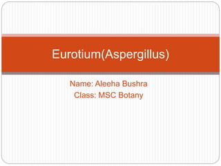Name: Aleeha Bushra
Class: MSC Botany
Eurotium(Aspergillus)
 