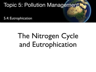 Topic 5: Pollution Management

5.4: Eutrophication




         The Nitrogen Cycle
         and Eutrophication
 
