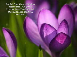Eu Sei Que Viverei Muitos Momentos, Alegres E Tristes, Mas Também Sei, Que Ainda Há Muito A Realizar.