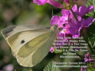Uma CoisaAprendiDurante A Minha Vida,SofrerNao E A PiorCoisaQueExiste. DesobedecerA Deus E A Pior De TodasAs Coisas.Sinceramente,Fernanda Torres/2011fftorres65@hotmail.com