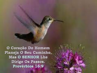 O Coração Do Homem Planeja O Seu Caminho, Mas O SENHOR Lhe Dirige Os Passos. Provérbios 16:9 