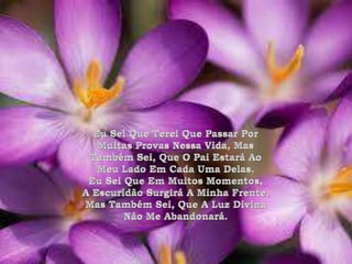 Eu Sei Que Terei Que Passar Por Muitas Provas Nessa Vida, Mas Também Sei, Que O Pai Estará Ao Meu Lado Em Cada Uma Delas.Eu Sei Que Em Muitos Momentos, A Escuridão Surgirá A Minha Frente, Mas Também Sei, Que A Luz Divina Não Me Abandonará.