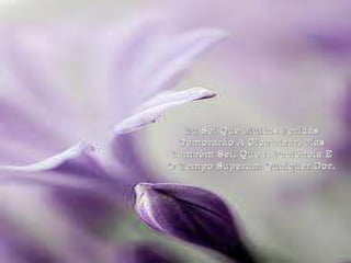 Eu Sei Que Muitas Feridas Demorarão A Cicatrizar, Mas Também Sei, Que A Paciência E O Tempo Superam Qualquer Dor.