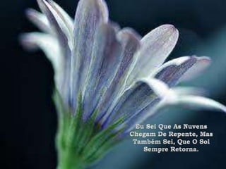 Eu Sei Que As Nuvens Chegam De Repente, Mas Também Sei, Que O Sol Sempre Retorna.