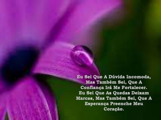 Eu Sei Que A Dúvida Incomoda, Mas Também Sei, Que A Confiança Irá Me Fortalecer.Eu Sei Que As Quedas Deixam Marcas, Mas Também Sei, Que A Esperança Preenche Meu Coração.