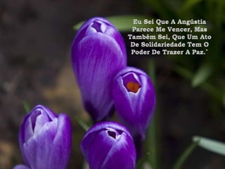 Eu Sei Que A Angústia Parece Me Vencer, Mas Também Sei, Que Um Ato De Solidariedade Tem O Poder De Trazer A Paz.`