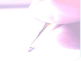 Eu sei mas não devia