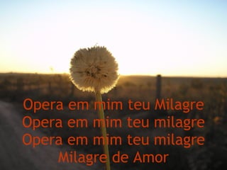 Opera em mim teu Milagre Opera em mim teu milagre Opera em mim teu milagre Milagre de Amor 