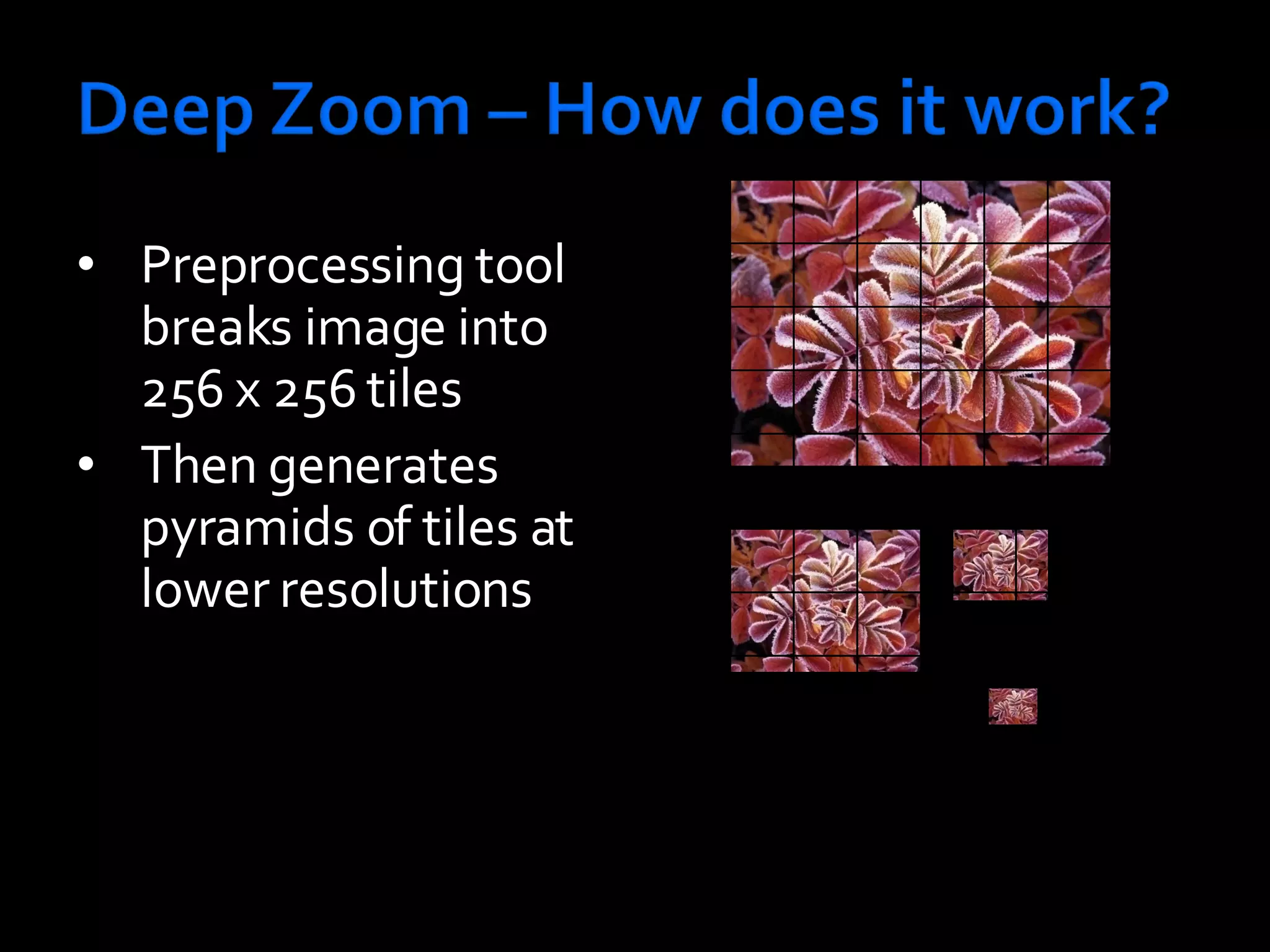 Preprocessing tool breaks image into 256 x 256 tiles Then generates pyramids of tiles at lower resolutions 
