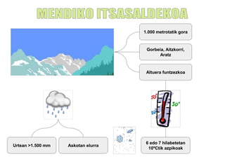 1.000 metrotatik gora
Gorbeia, Aitzkorri,
Aratz
Altuera funtzezkoa
Urtean >1.500 mm
6 edo 7 hilabetetan
10ºCtik azpikoak
Askotan elurra
 