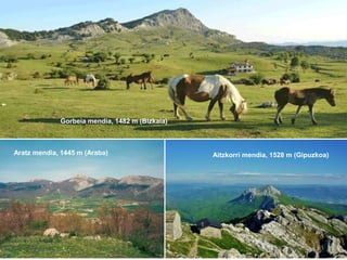 Txindoki mendia, 1346 m
Aralar mendilerroan
(Gipuzkoa)
Gorbeia mendia, 1482 m (Bizkaia)
Aratz mendia, 1445 m (Araba) Aitzkorri mendia, 1528 m (Gipuzkoa)
 
