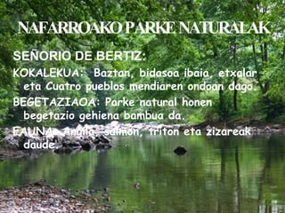 NAFARROAKO PARKE NATURALAK SEÑORIO DE BERTIZ: KOKALEKUA:  Baztan, bidasoa ibaia, etxalar eta Cuatro pueblos mendiaren ondoan dago. BEGETAZIAOA: Parke natural honen begetazio gehiena bambua da. FAUNA: Angila, salmon, triton eta zizareak daude. 