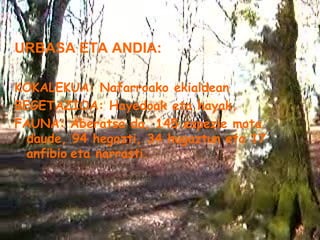 URBASA ETA ANDIA: KOKALEKUA: Nafarroako ekialdean BEGETAZIOA: Hayedoak eta hayak. FAUNA: Aberatsa da, 145 espezie mota daude, 94 hegazti, 34 hugaztun eta 17 anfibio   eta narrasti. 