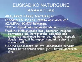 EUSKADIKO NATURGUNE BABESTUAK ARALARKO PARKE NATURALA:  IZANDAPEN-DATA: 1994Ko apirilaren 26ª. AZALERA: 10.971 hektarea. TOKIA: Gipuzkoako hego-ekialdean. FAUNA: Helburuetako bat, faunaren iraupena bermatzea da, horretarako aziendak eta artzaitza mantendu behar da. Hainbat espezie daude: Hegazti harrapari handiak, saiak eta arrano beltza. FLORA: Laborantza lur eta landatutako zuhaitz multzo  baten artean artadi gutxi batzuk geratzen dira. 