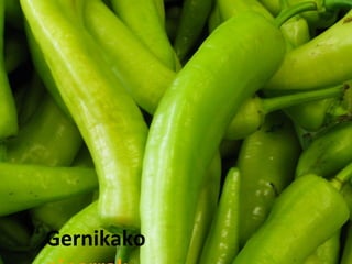 Gernikako
 