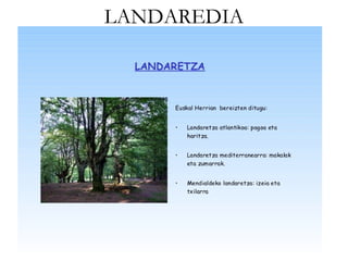 LANDAREDIA
 