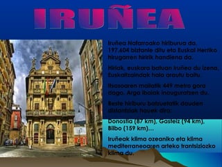 Iruñea Nafarroako hiriburua da. 
197.604 biztanle ditu eta Euskal Herriko 
hirugarren hiririk handiena da. 
Hiriak, euskara batuan Iruñea du izena, 
Euskaltzaindak hala arautu baitu. 
Itsasoaren mailatik 449 metro gora 
dago. Arga ibaiak inauguratzen du. 
Beste hiriburu batzuetatik dauden 
distantziak hauek dira: 
Donostia (87 km), Gasteiz (94 km), 
Bilbo (159 km)… 
Iruñeak klima ozeaniko eta klima 
mediterraneoaren arteko trantsiziozko 
klima du. 
 
