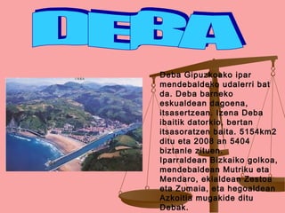 Deba Gipuzkoako ipar 
mendebaldeko udalerri bat 
da. Deba barneko 
eskualdean dagoena, 
itsasertzean. Izena Deba 
ibaitik datorkio, bertan 
itsasoratzen baita. 5154km2 
ditu eta 2008 an 5404 
biztanle zituen. 
Iparraldean Bizkaiko golkoa, 
mendebaldean Mutriku eta 
Mendaro, ekialdean Zestoa 
eta Zumaia, eta hegoaldean 
Azkoitia mugakide ditu 
Debak. 
 