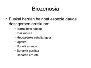 Biozenosia
• Euskal herrian hainbat espezie daude
  desagerpen arriskuan:
    •   Iparraldeko katxoa
    •   Ibai kabuxa
    •   Hegoaldeko zuhaitz-igela
    •   Ugatza
    •   Bonelli arranoa
    •   Benarriz gorritza
    •   Benarriz arrunta
 