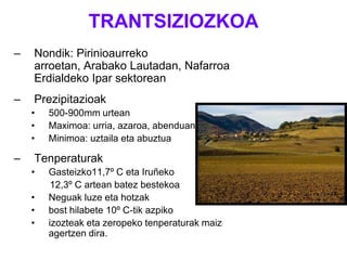 TRANTSIZIOZKOANondik: Pirinioaurreko arroetan, Arabako Lautadan, Nafarroa Erdialdeko Ipar sektoreanPrezipitazioak500-900mm urteanMaximoa: urria, azaroa, abenduanMinimoa: uztaila eta abuztuaTenperaturakGasteizko11,7º C eta Iruñeko       12,3º C artean batez bestekoaNeguak luze eta hotzakbost hilabete 10º C-tik azpikoizozteak eta zeropeko tenperaturak maiz agertzen dira.