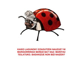 KAIXO LAGUNOK!! EZAGUTZEN NAUZUE? NI
MARIGORRINGO BEREZI BAT NAZ: MARITXU
TEILATUKO. BADAKIZUE NON BIZI NAIZEN?
 