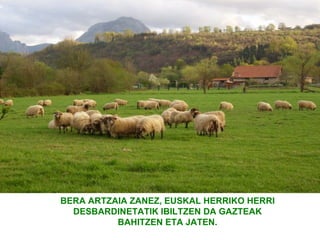 BERA ARTZAIA ZANEZ, EUSKAL HERRIKO HERRI
  DESBARDINETATIK IBILTZEN DA GAZTEAK
          BAHITZEN ETA JATEN.
 
